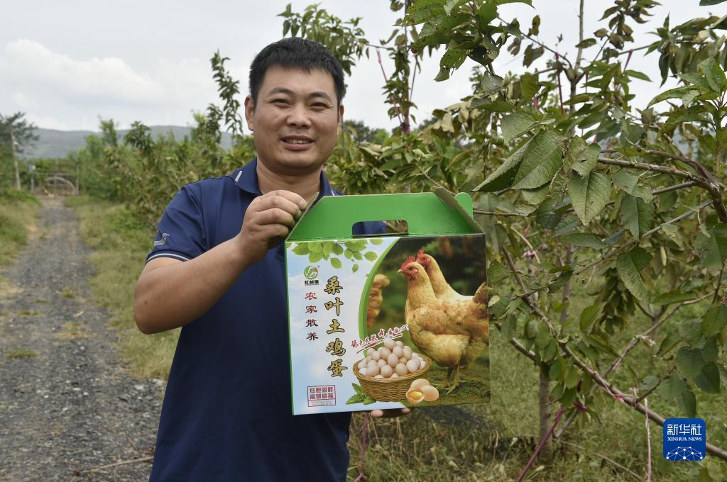 威尼斯太阳城一区入口